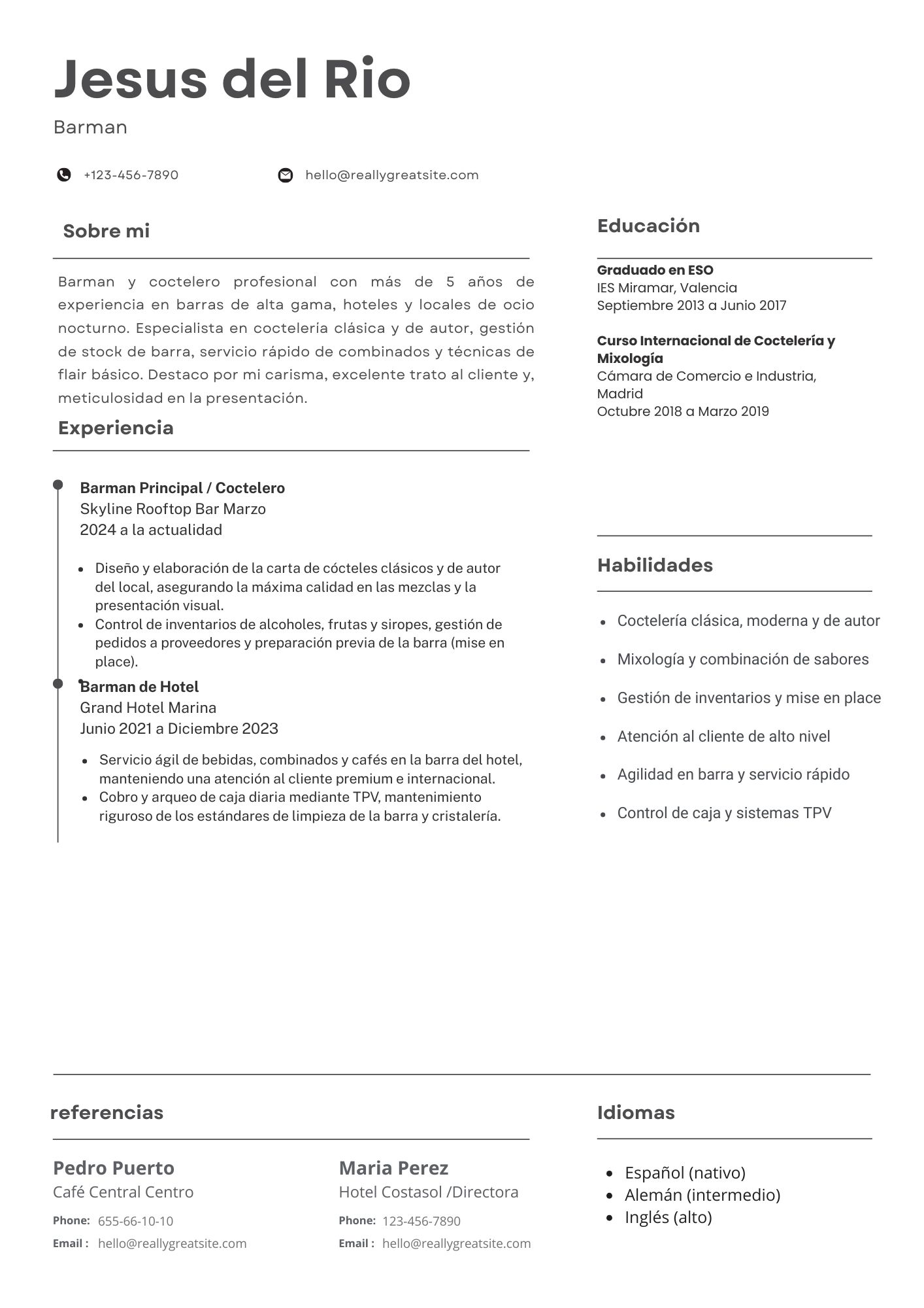 Vista previa del currículum de barman / barmaid (modelo clásico)