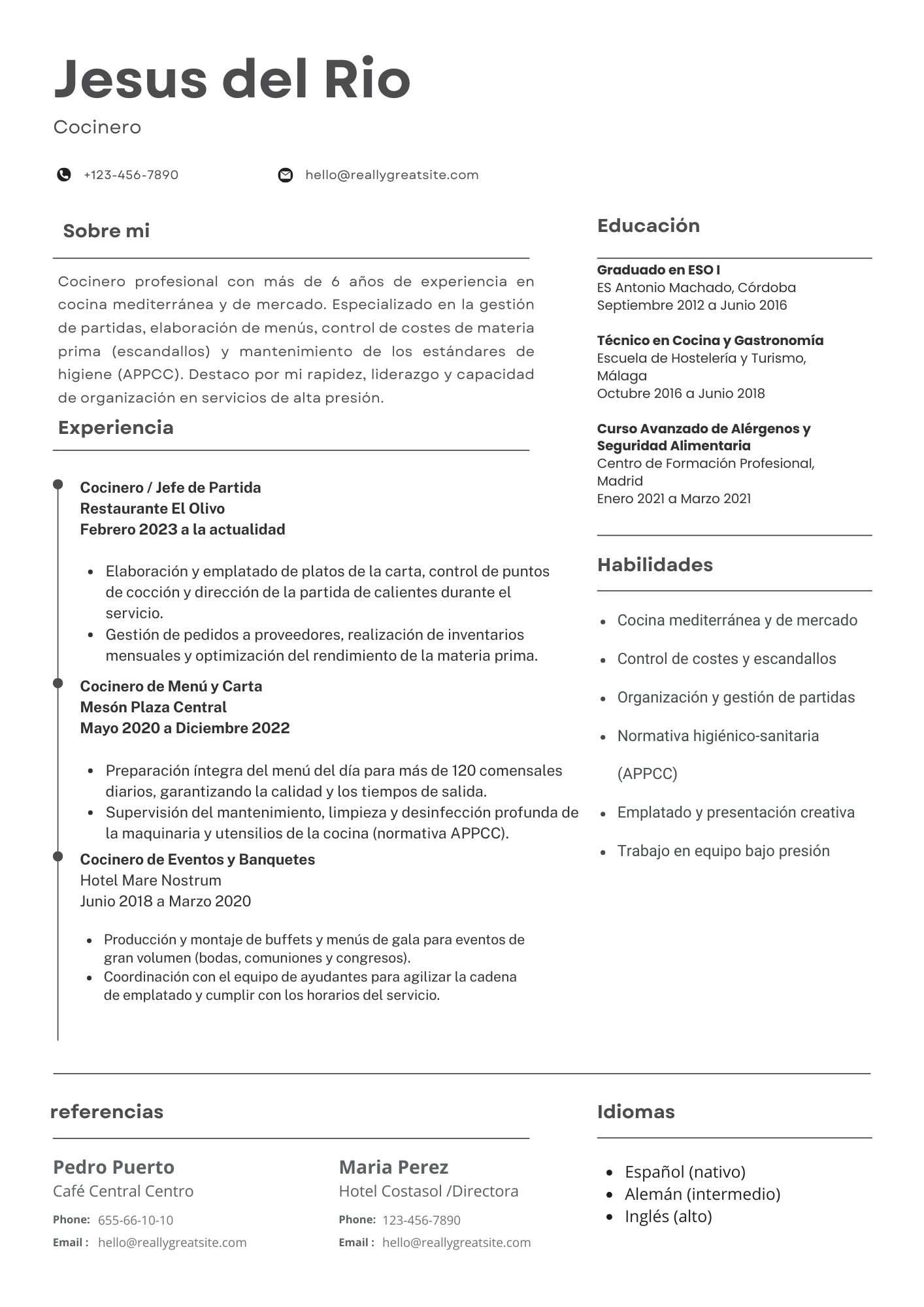 Vista previa del currículum de cocinero/a (modelo clásico)